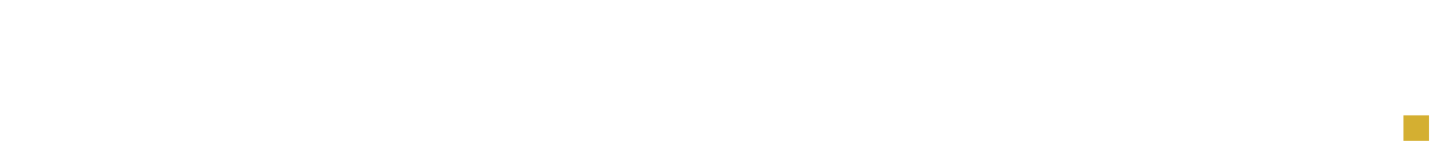 Logo von Automateleads.de - Eine Dienstleistung zur Leadgenerierung und KI Automatisierung